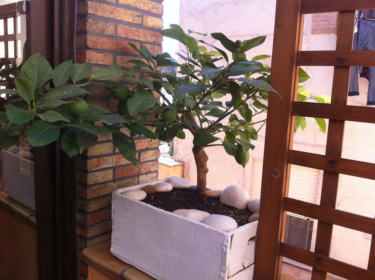 Guest House La Corte Normanna Sciacca Bagian luar foto